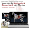 Onlinekurs Pferde Anatomie und Biomechanik [Digital]
