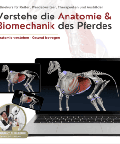 Onlinekurs Pferde Anatomie und Biomechanik [Digital]