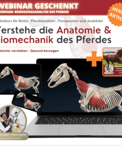 Onlinekurs Pferde Anatomie und Biomechanik [Digital]