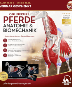 Onlinekurs Pferde Anatomie und Biomechanik [Digital]