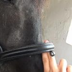 Zwei Finger sollten zwischen Nasenriemen und Nasenbein des Pferdes passen