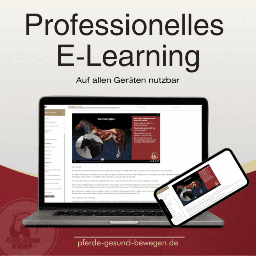 Pferde effektiv massieren - Online Seminar [Digital] – Bild 2