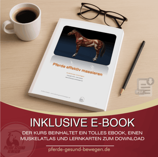 Pferde effektiv massieren - Online Seminar [Digital] – Bild 3