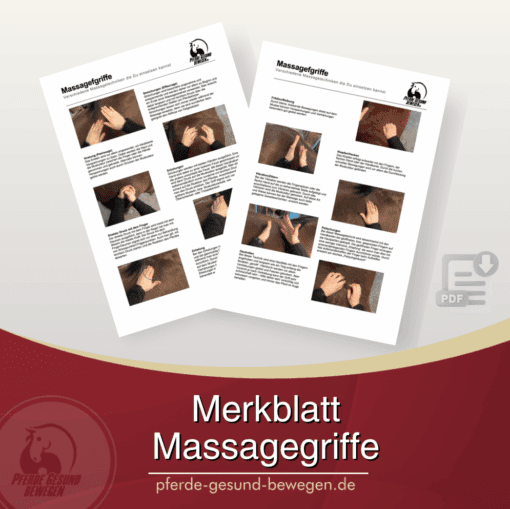Pferde effektiv massieren - Online Seminar [Digital] – Bild 5