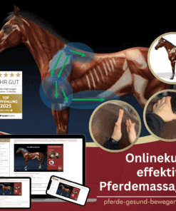 Pferde effektiv massieren - Online Seminar [Digital]