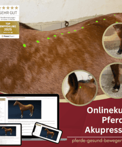 Onlinekurs Pferde Akupressur [Digital]