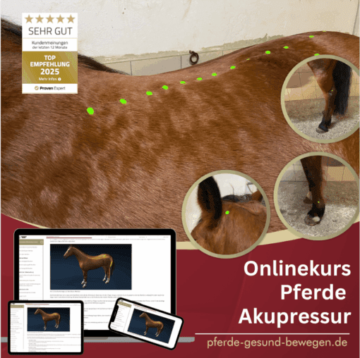 Onlinekurs Pferde Akupressur [Digital]