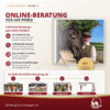 Online-Beratung für Dein Pferd – Videoanalyse & 1:1-Gespräch