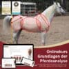 Onlinekurs Grundlagen der Pferdeanalyse [Digital]
