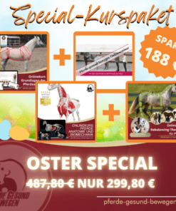 Oster Special Kurspaket - Pferde gesund Bewegen [Digital]