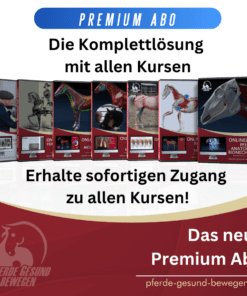 Premium-Abo