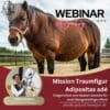 Webinar - Adipositas beim Pferd [Digital]
