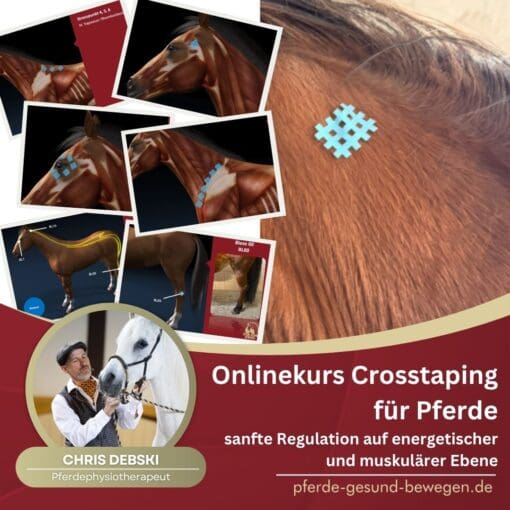 Onlinekurs Crosstaping für Pferde [Digital]