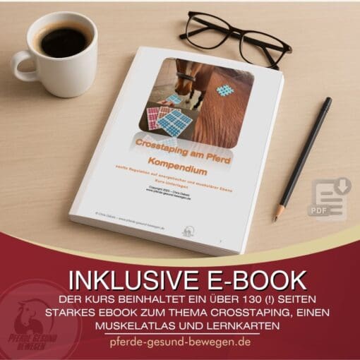 Onlinekurs Crosstaping für Pferde [Digital] – Bild 4