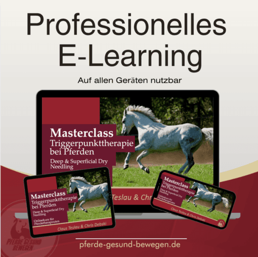 Masterclass Triggerpunkttherapie - Dryneedling am Pferd [Digital] – Bild 4
