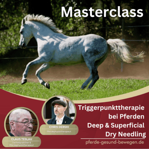 Masterclass Triggerpunkttherapie - Dryneedling am Pferd [Digital]