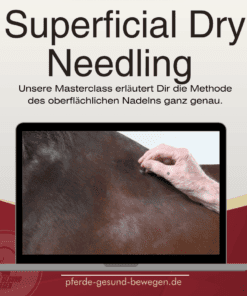 Alternative view of Masterclass Dryneedling - Triggerpunkttherapie am Pferd [Digital]