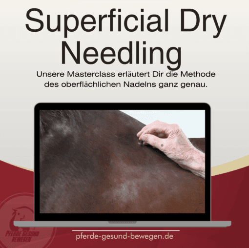 Masterclass Dryneedling - Triggerpunkttherapie am Pferd [Digital] – Bild 2
