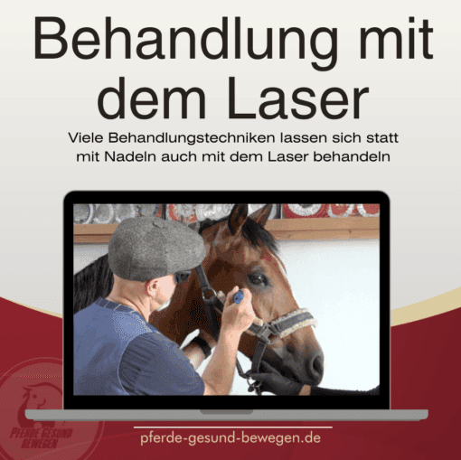 Masterclass Dryneedling - Triggerpunkttherapie am Pferd [Digital] – Bild 4