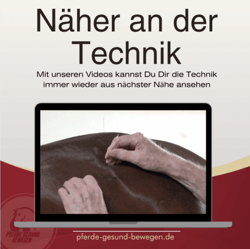Masterclass Dryneedling - Triggerpunkttherapie am Pferd [Digital] – Bild 8