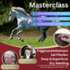 Masterclass Dryneedling - Triggerpunkttherapie am Pferd [Digital]