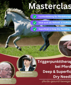 Masterclass Dryneedling - Triggerpunkttherapie am Pferd [Digital]