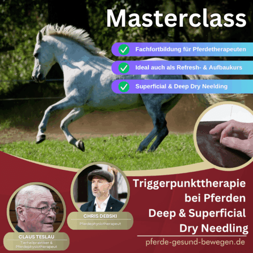 Masterclass Dryneedling - Triggerpunkttherapie am Pferd [Digital]