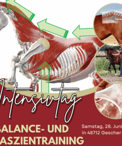 Intensivtag Balance und Faszientraining live 28.06.2025 [Digital]