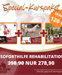 Soforthilfe Rehabilitations Kurspaket - Pferde gesund Bewegen [Digital]