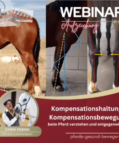 Webinar Kompensationshaltung & Kompensationsbewegung beim Pferd [Digital]
