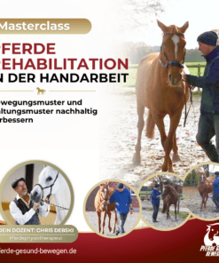 Masterclass Pferde Rehabilitation in der Handarbeit [Digital] – Bild 5