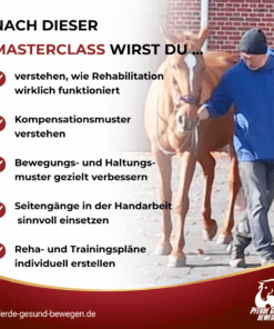Masterclass Pferde Rehabilitation in der Handarbeit [Digital] – Bild 2