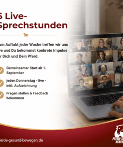 Masterclass Pferde Rehabilitation in der Handarbeit [Digital] – Bild 4