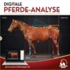 Digitale Pferdeanalyse [Digital]