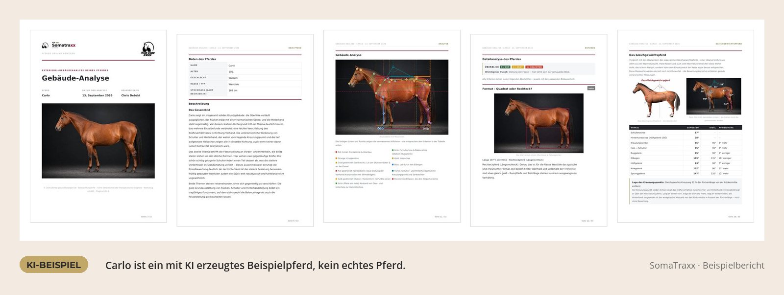 Seiten aus einem SomaTraxx-Beispielbericht zur Gebäudeanalyse, KI-generiertes Beispielpferd Carlo