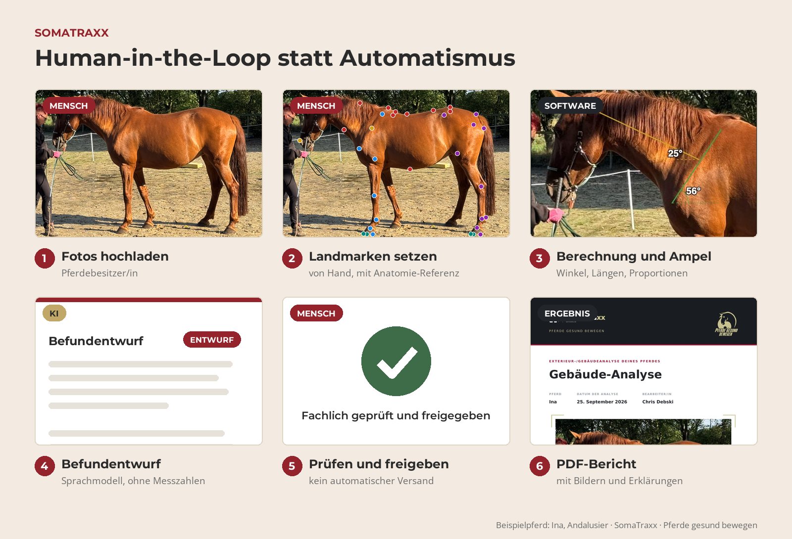Ablauf einer SomaTraxx-Gebäudeanalyse nach dem Human-in-the-Loop-Prinzip: Mensch, Software und KI in sechs Schritten