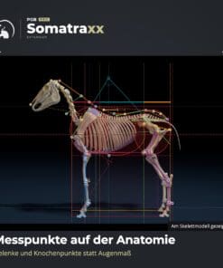 Digitale Pferdeanalyse [Digital] – Bild 5