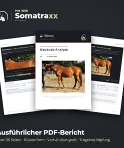 Digitale Pferdeanalyse [Digital] – Bild 6